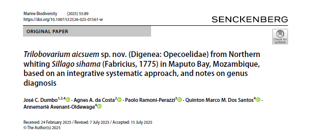 Foi publicado recentemente o artigo intitulado “Trilobovarium aicseum sp. nov. (Digenea: Opecoelidae) from Northern whiting Sillago sihama in Maputo Bay, based on an integrative systematic approach, and notes on genus diagnosis
Leia o artigo no link: lnkd.in/dBPwe4gn