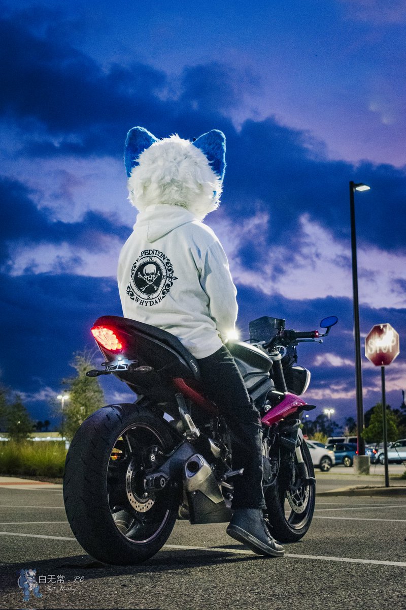 TheSgt_Husky's tweet photo. "There's a point at 7,000 RPM where everything fades. The machine becomes weightless. It disappears. All that's left, a body moving through space and time. At 7,000 RPM, that's where you meet it. That's where it waits for you."
#fursuit #furry #furmony #motorfur https://t.co/y7T6YXi1go