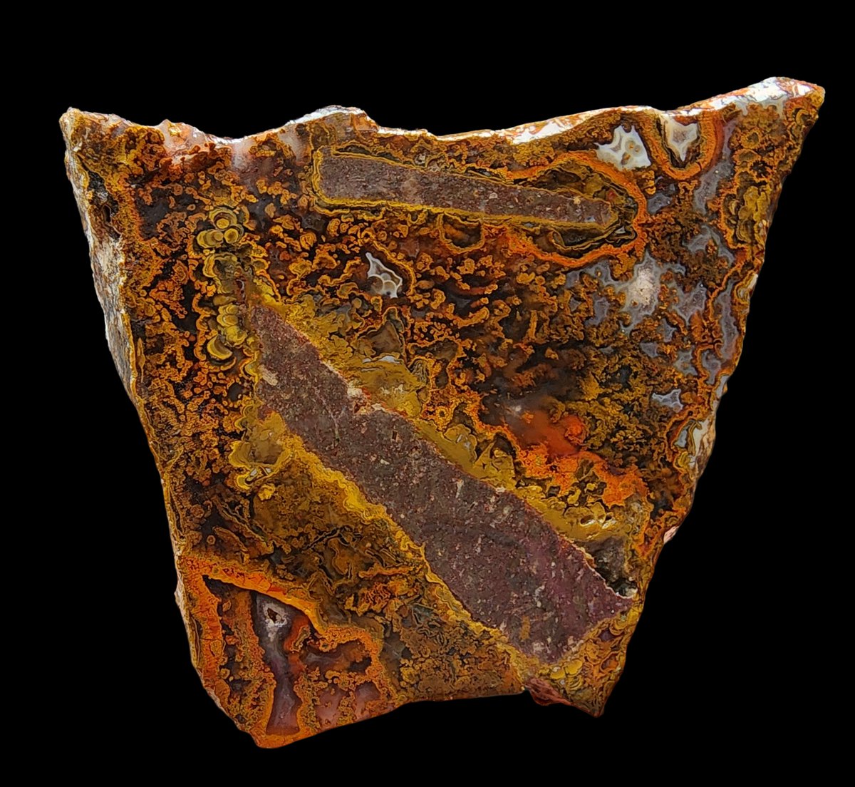 SrlGemstone's tweet photo. Brecciated Plume #Agate #colors #colorsofautumn  #naturalhistory #lapidary #rockhound #rockcollection #minerals #geologyrock #art #photograghy https://t.co/Cz2W70Y8Ev