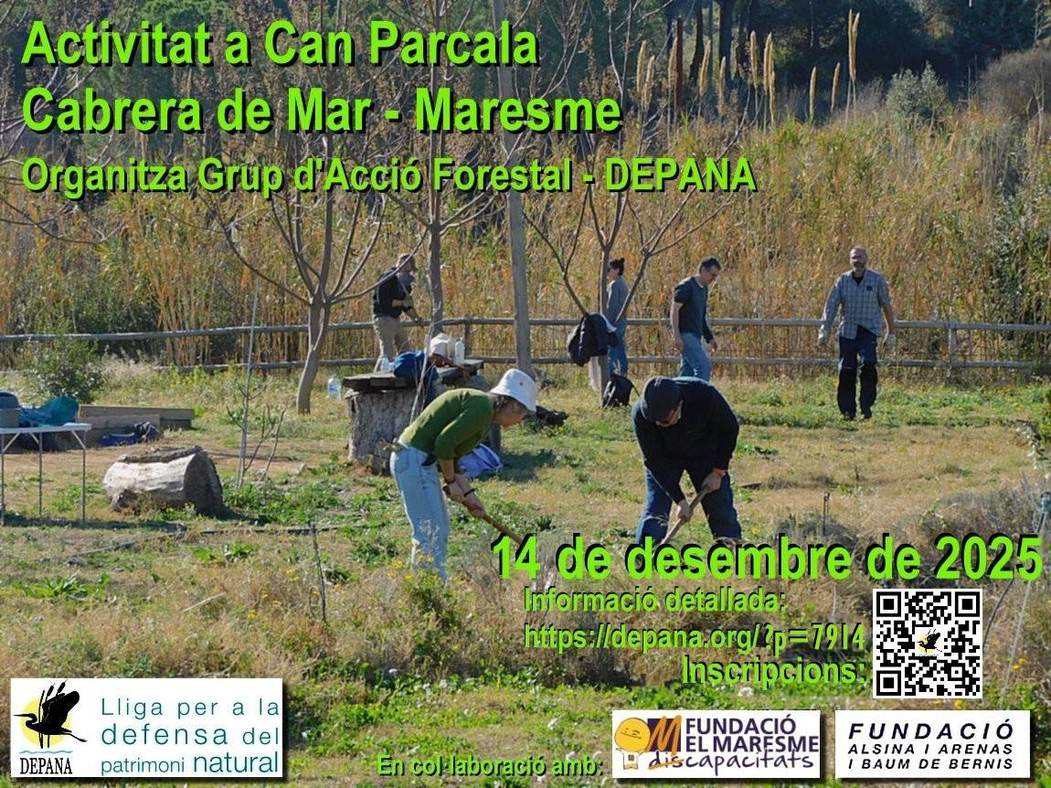 🌱 Voluntariat ambiental a Can Parcala (Cabrera de Mar) 🐝 
📅 Dissabte, 14 de desembre  

🌳 Plantarem espècies autòctones del viver del GAF 🚫🌾 Erradicarem vegetació invasora 
🦋 Observarem la vida que s’hi amaga!

bsky.app/profile/depana…