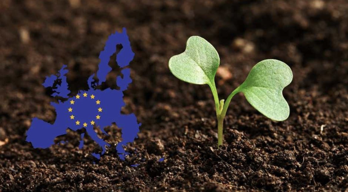 MSavesoil's tweet photo. @cpsavesoil Every handful of #soil matters! 

If soil is healthy, we are healthy!
Degraded soils are losing their carbon to the atmosphere &amp; heat the planet. 🌍 

Soil-ution is the answer to all our crisis: 
#food, #water and #climate change

#SaveSoil 🌱
#SoilHealth
#SaveSoilSecureFuture https://t.co/VvLTrYNLlY