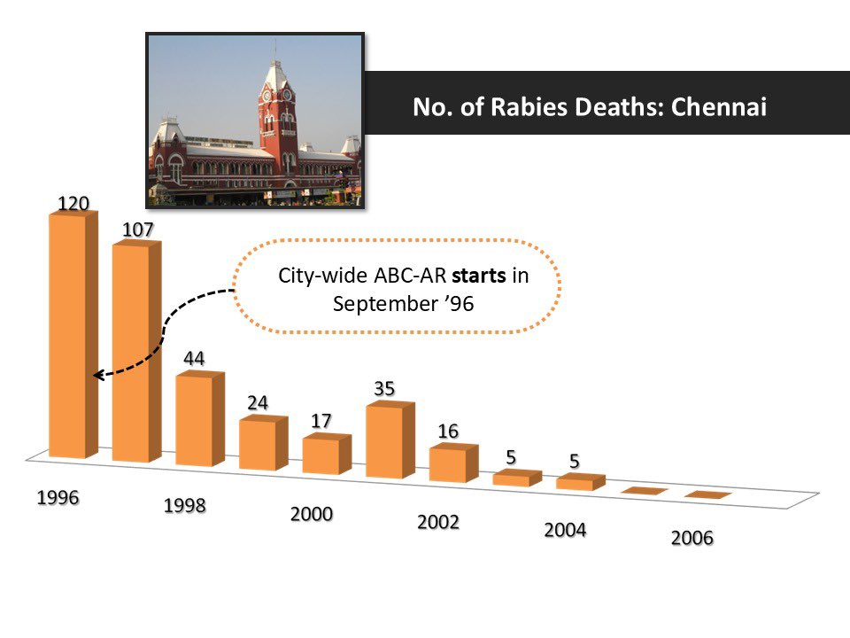 If you do not know the history and science behind Animal Birth Control in India, then you have no rights to hold an opinion about relocating street dogs. Half-baked opinions are always dangerous.
