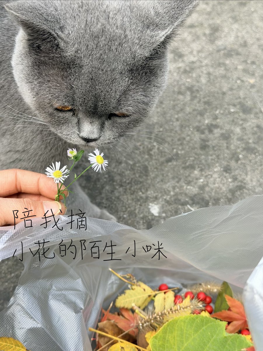 阳光苹果 (@w9262m) on Twitter photo 