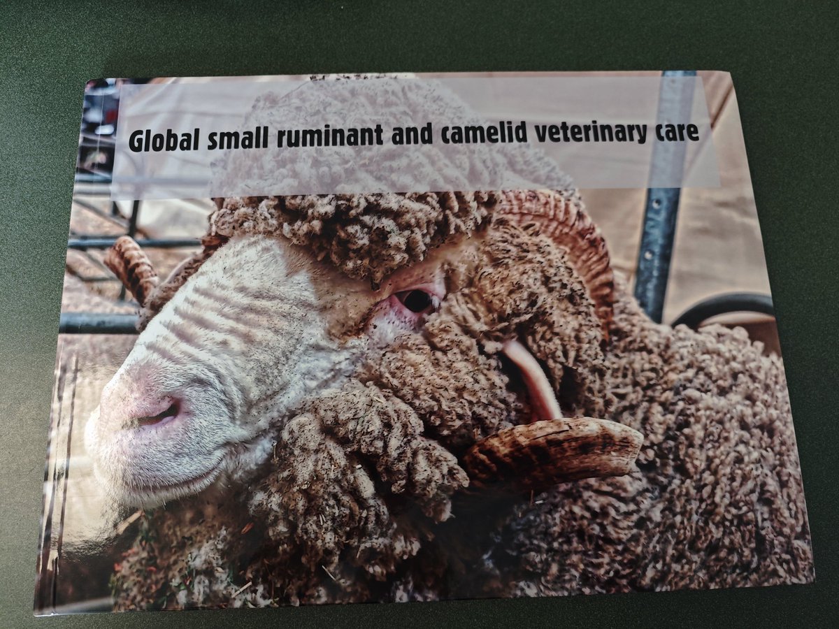 KennedyCreek1's tweet photo. Finally got my copy of #ISVC photobook. Great sheep, goat and camelid photos from around the world. Apart from the occasional editor (me) typo it's great. https://t.co/3WmVna8nrN
