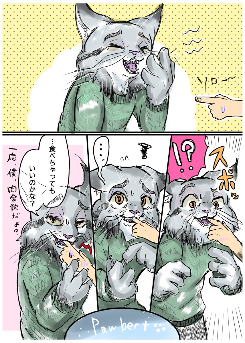 パウバートにこれしたい