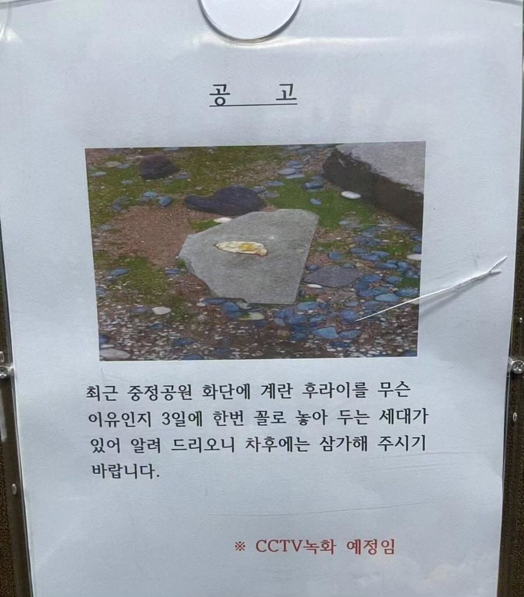 아파트단지 계란후라이 빌런