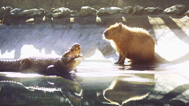 오늘은 왜인지 따뜻해요
잘 안 풀리던 일들도 막 잘 풀릴 것만 같아요
많은 일들이 쌓여있는데 그래도 다 잘 됐으면 좋겠어요
좋은 선택만 하고 싶어요
노을이 예쁘니까 마음이 살살 녹는 것 같아요
여러분의 하루도 다 잘 풀리기를 바라요