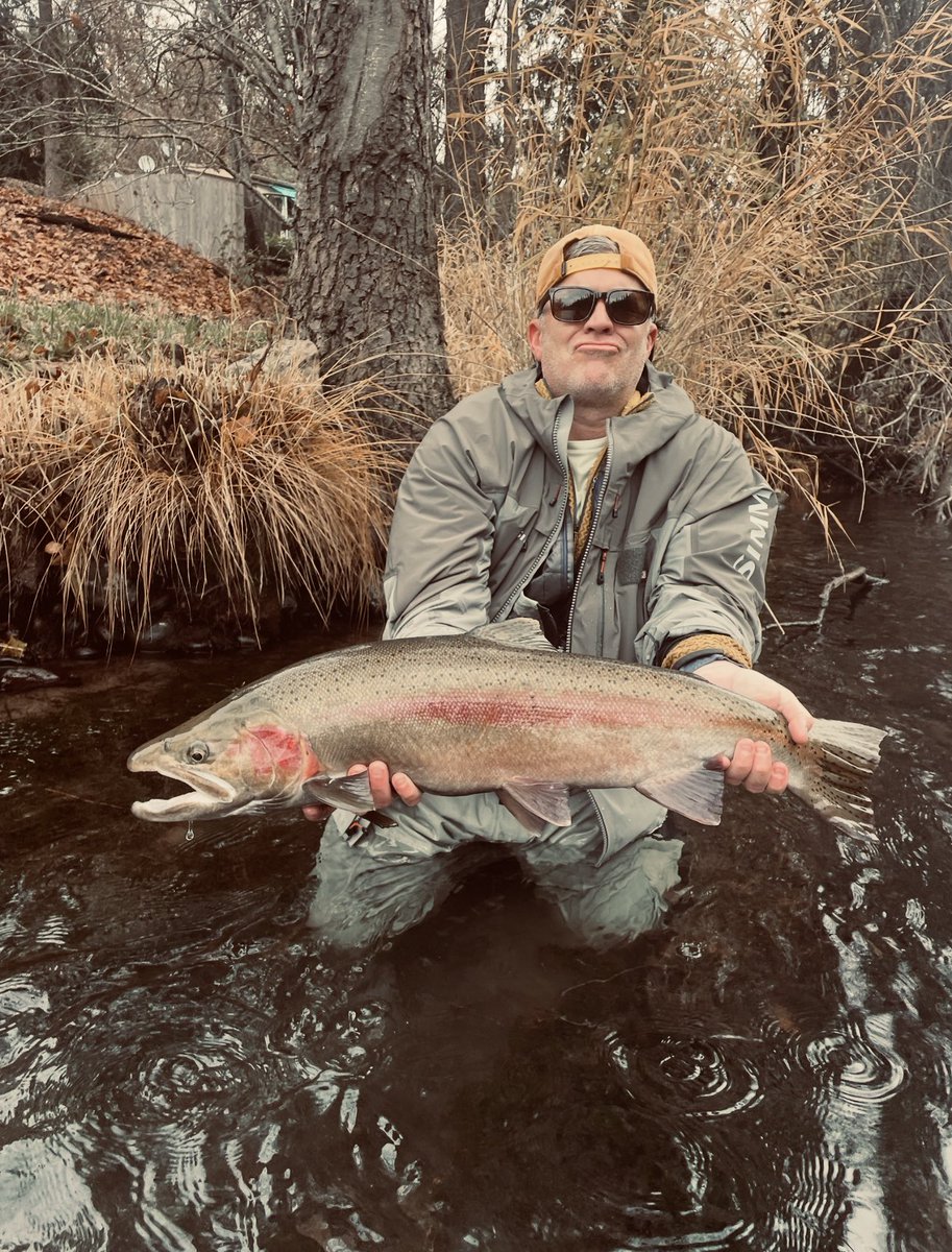 SellsMuch's tweet image. Steelhead Season