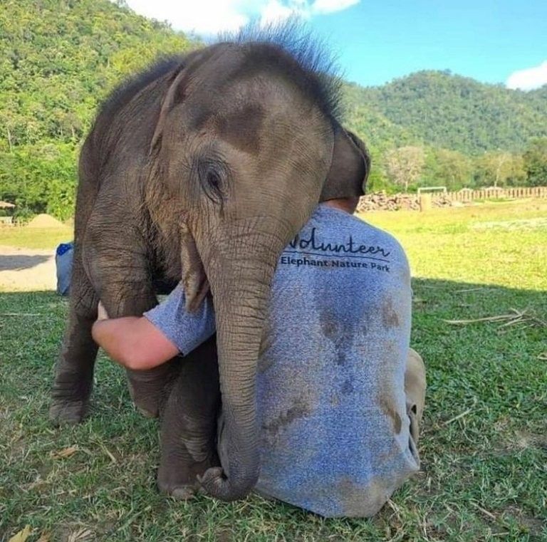 I have learned that there is more power in a good strong hug than in a thousand meaningful words.

Ann Hood