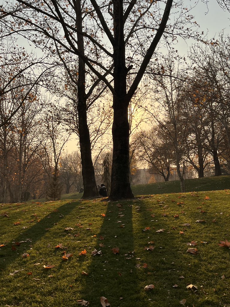 صباح الخير 
"لا شيء يمكن أن يمنع من يملك العزيمة من الوصول إلى هدفه"