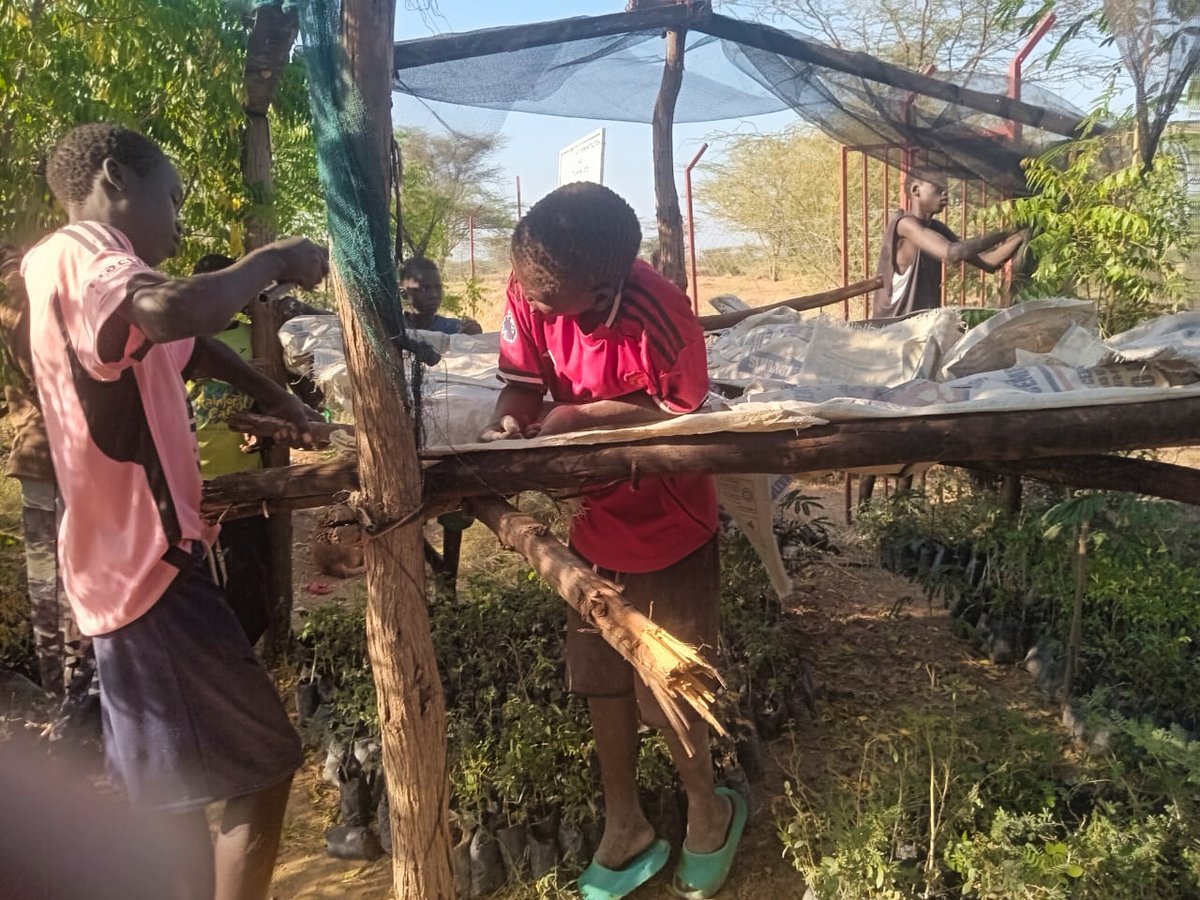 Our young climate champions are tending to their tree nurseries even during the holiday watering, weeding, and protecting every seedling. Their commitment shows that our tree-planting efforts are truly youth-driven and sustainable. 🌱🌳 

#YouthInClimateAction #treegrowing