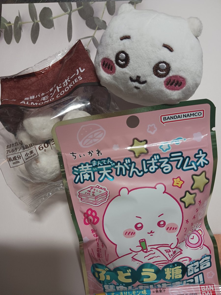 ʕ•ᴥ•ʔ❤︎まくまくま子 (@zentaro_yuri) / Posts / X