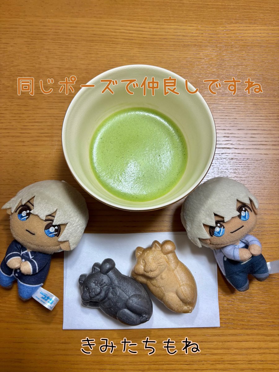 ねこちゃんもなか🐾