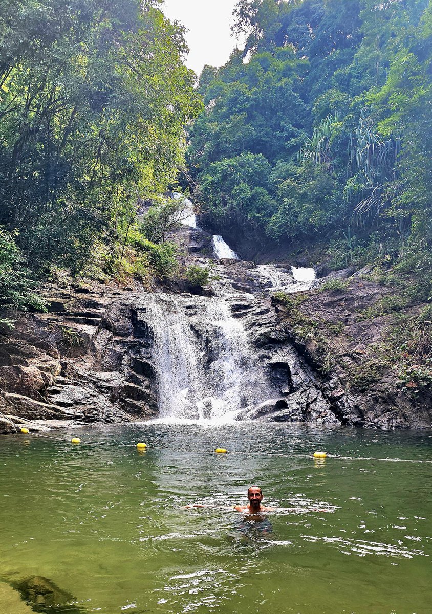 menacho1981's tweet image. Dia en la selva tailandesa...