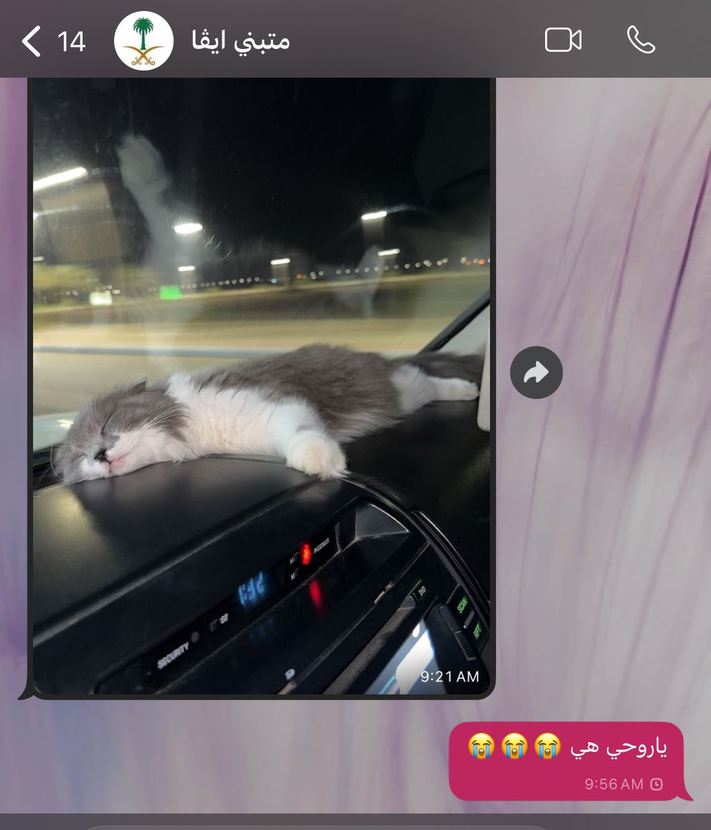 Yumi ᶻ 𝗓 𐰁 tweet media