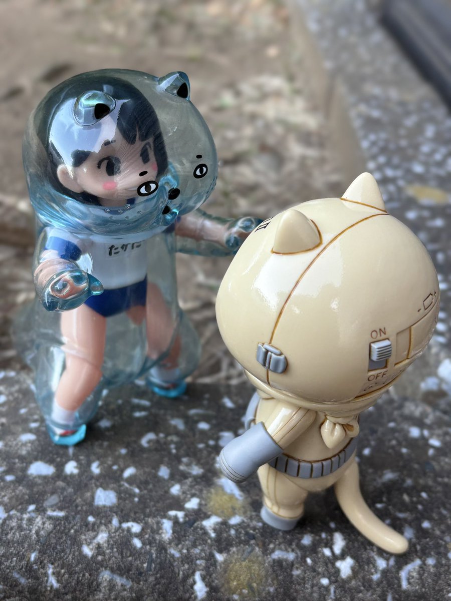 チェリ@バケタンブログ (@cherri_cherri) / Posts / X