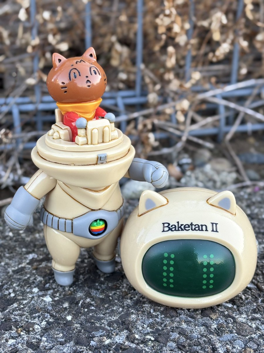 チェリ@バケタンブログ (@cherri_cherri) / Posts / X