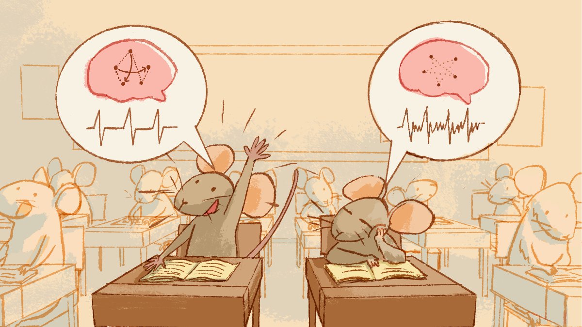 【🚀新着論文】北大CHAIN・生命科学院の石原憲（<a href="/IshiKen_Con/">Ishi Lab | Ken</a>）さんとの論文が出版されました

State-space kinetic Ising model reveals task-dependent entropy flow in sparsely active nonequilibrium neuronal dynamics
Ishihara and Shimazaki Nature Commun 2025
nature.com/articles/s4146…