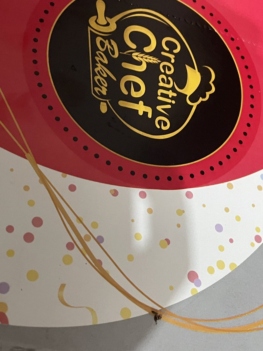 rohit0991's tweet photo. @Swiggy @Swiggy @SwiggyCares  i want my refund, u send the dirtiest cake and broken cake , i will not accept this
 Order id : 224314215857066

Do it asap as i will go to next step then. 

@fssaiindia for your reference https://t.co/CdCdYi1MCX