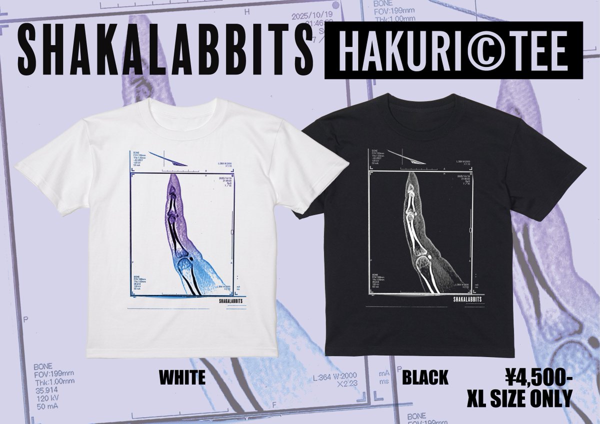 SHAKALABBITS OFFICIAL (@ShakaOfficial) / Posts / X