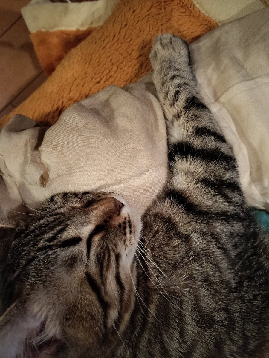 ちのりんパパ Webike | HURRICANE ハリケーン バーハンドルキット ZX-12R(HBK515A