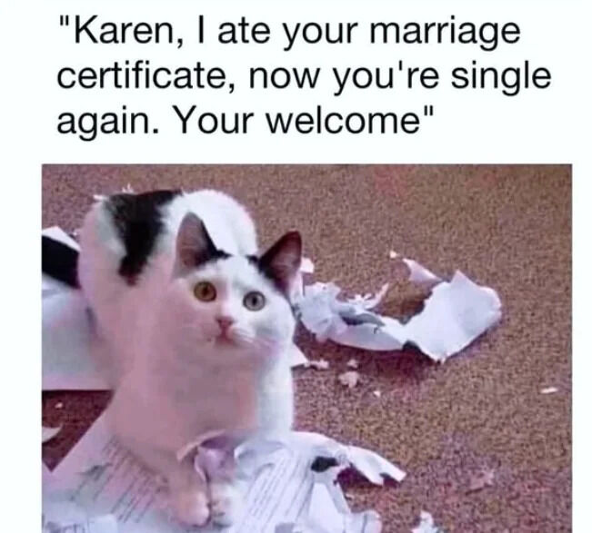 WholesomeMemes (@wholesomememe) on Twitter photo 