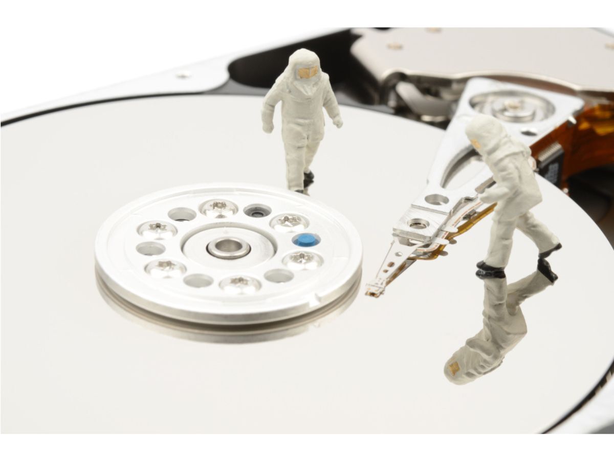 バッファロー【公式】 (@BUFFALO_jp_info) / Posts / X