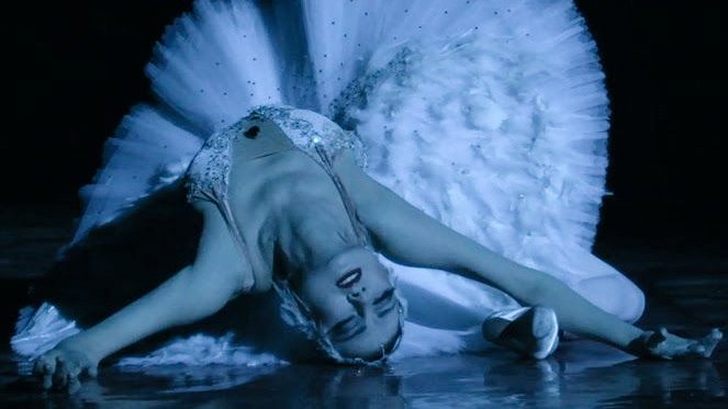 TARISSA BADIA tweet media