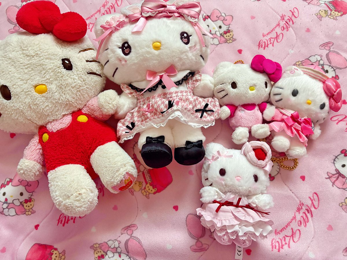 ミ☆キティー お気に入りのキティちゃん達🩷