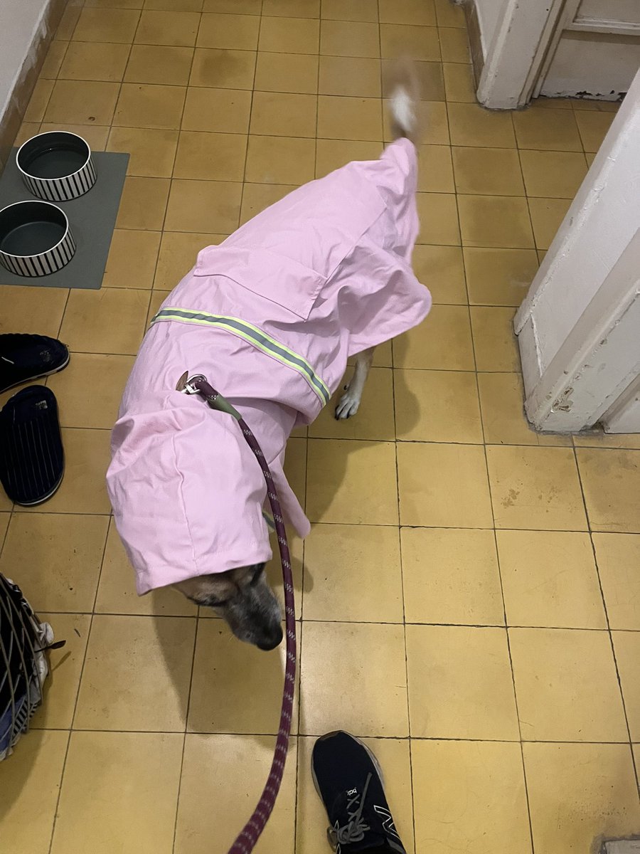 לואיז מוכנה לביירון