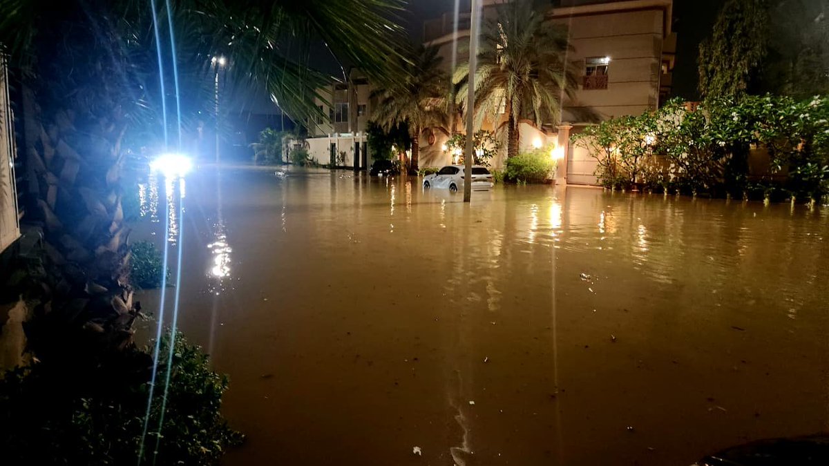 عبدالعزيز قاسم tweet media