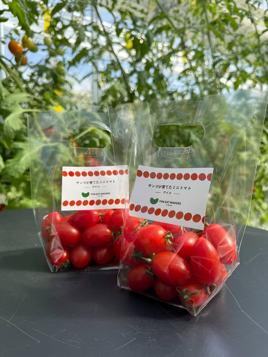 年末年始の贈答品、手土産にいかがですか／／ 🍅FUN EAT MAKERS in