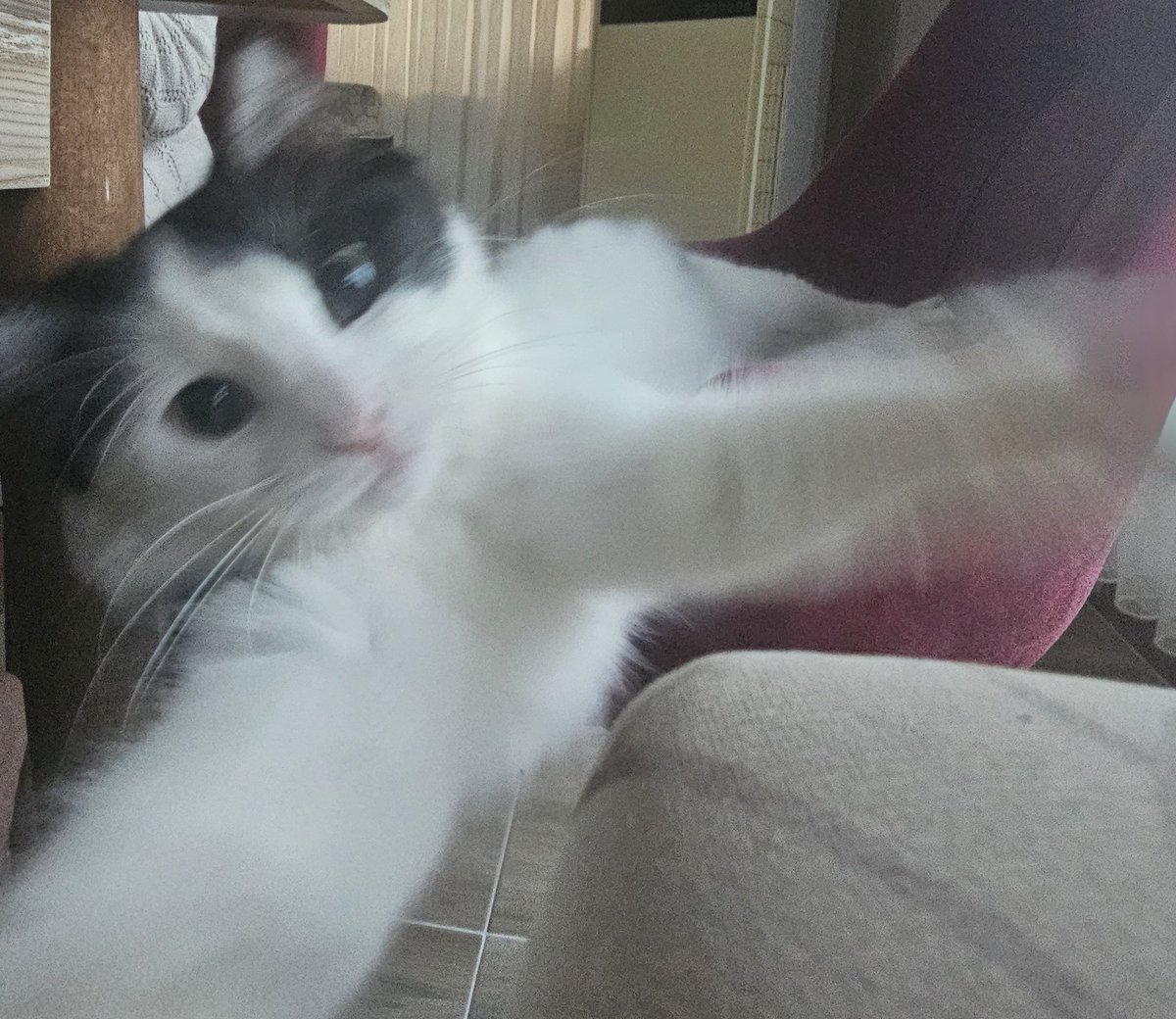 O esnada 7/24 anasına dayak atan oğlum