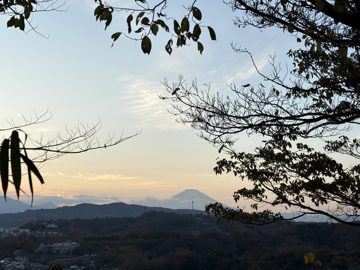 じゃくりん tweet media