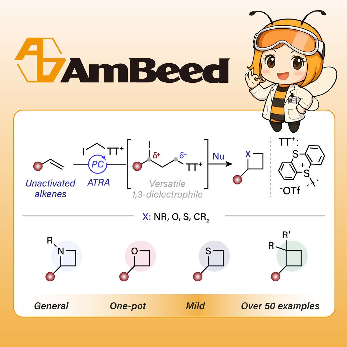 Ambeed Inc tweet media