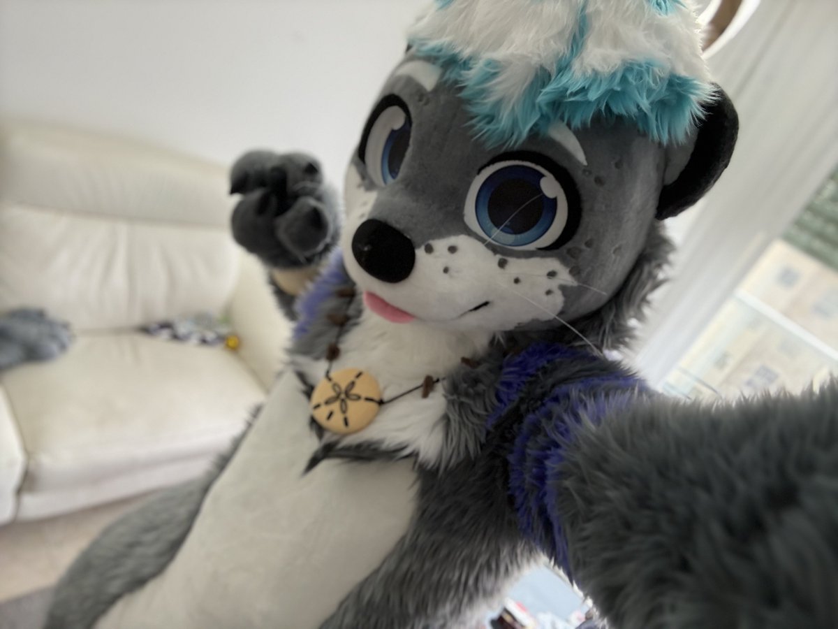 Roy_Otter's tweet photo. I love him so much!!!

Rawr~ :3💙

#Fursuit #NewFursuit

🧵: @LiuyuenLee 
📸: Me owo https://t.co/mFDu8UsCHc