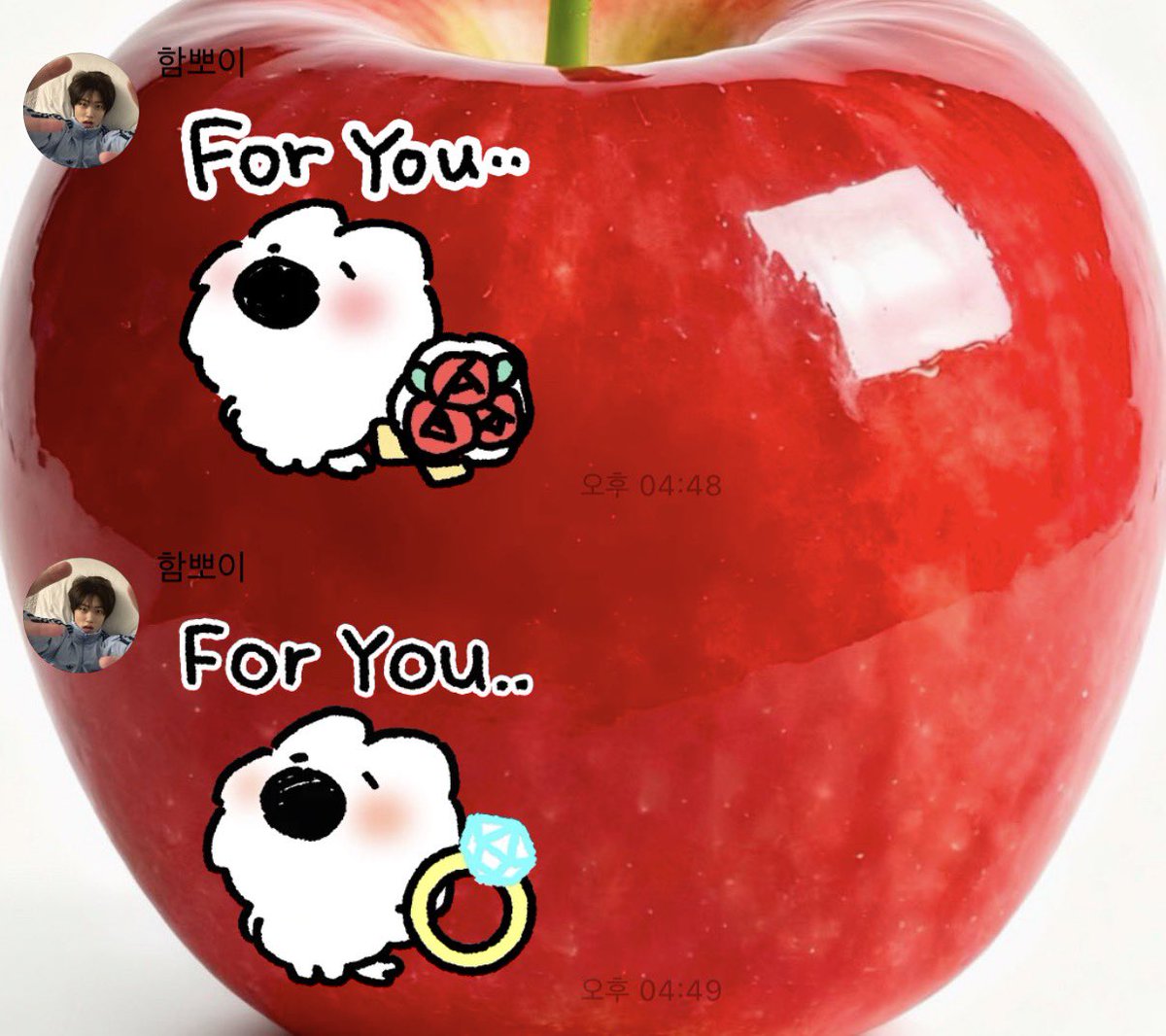 오늘은 꽃다발이랑 반지 둘다 주고갔어( ⸝⸝•｡•⸝⸝ )
카레 무사히(?) 잘 만들어먹고 하루마무리 잘해~~☺
#원진버블