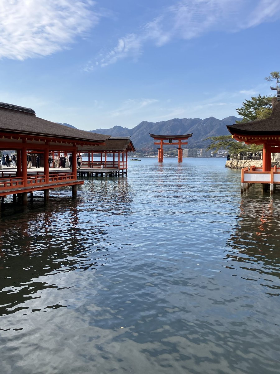 Sodashi_only's tweet photo. 平清盛が崇敬した厳島神社⛩️
ここは皆さんも一度訪れてみて下さい。
海上に浮かぶ鳥居が美しい😊
参道にはたくさんの飲食店があり、食べ歩きも楽しめます。 https://t.co/jJClWckavm