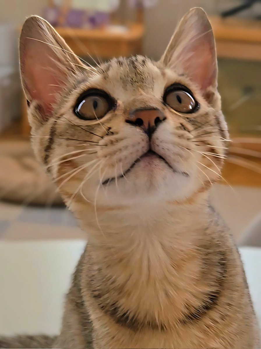 まるママ (@maruchannel0820) / Posts / X