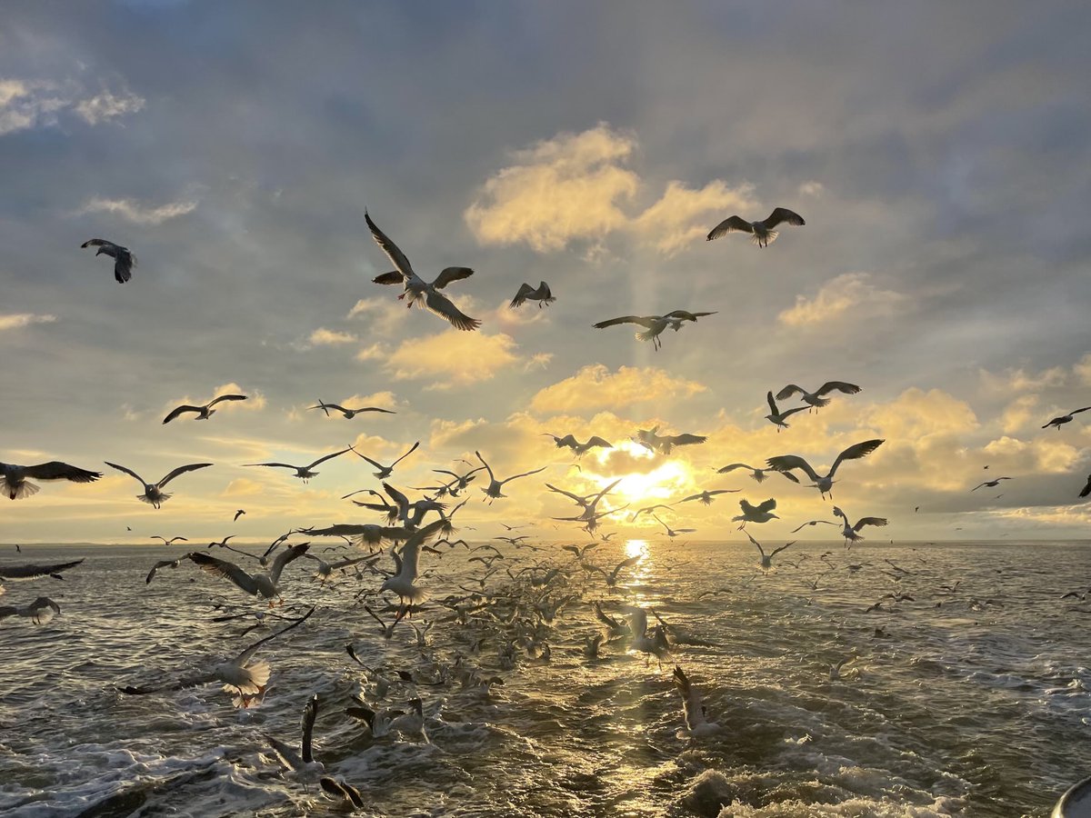 Zowaar iets van daglicht🥳