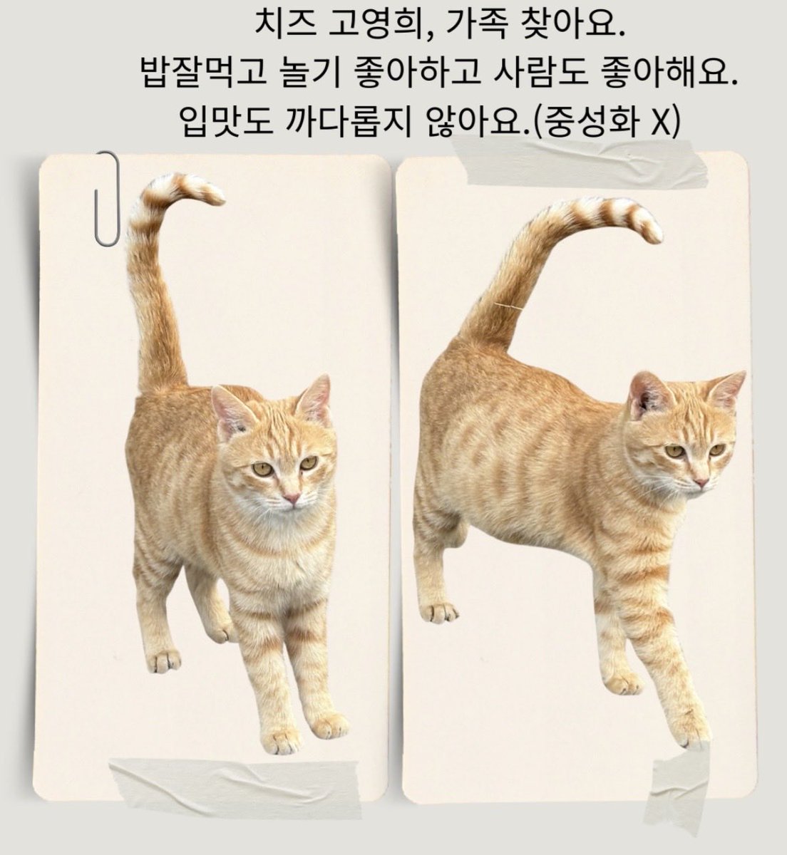 오버더호라이즌🎗 (@chemarunarae) on Twitter photo 