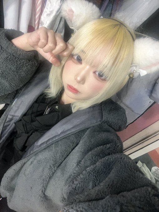 最新情報タイムライン - にゃんたー✖️にゃんたー（秋葉原・神田