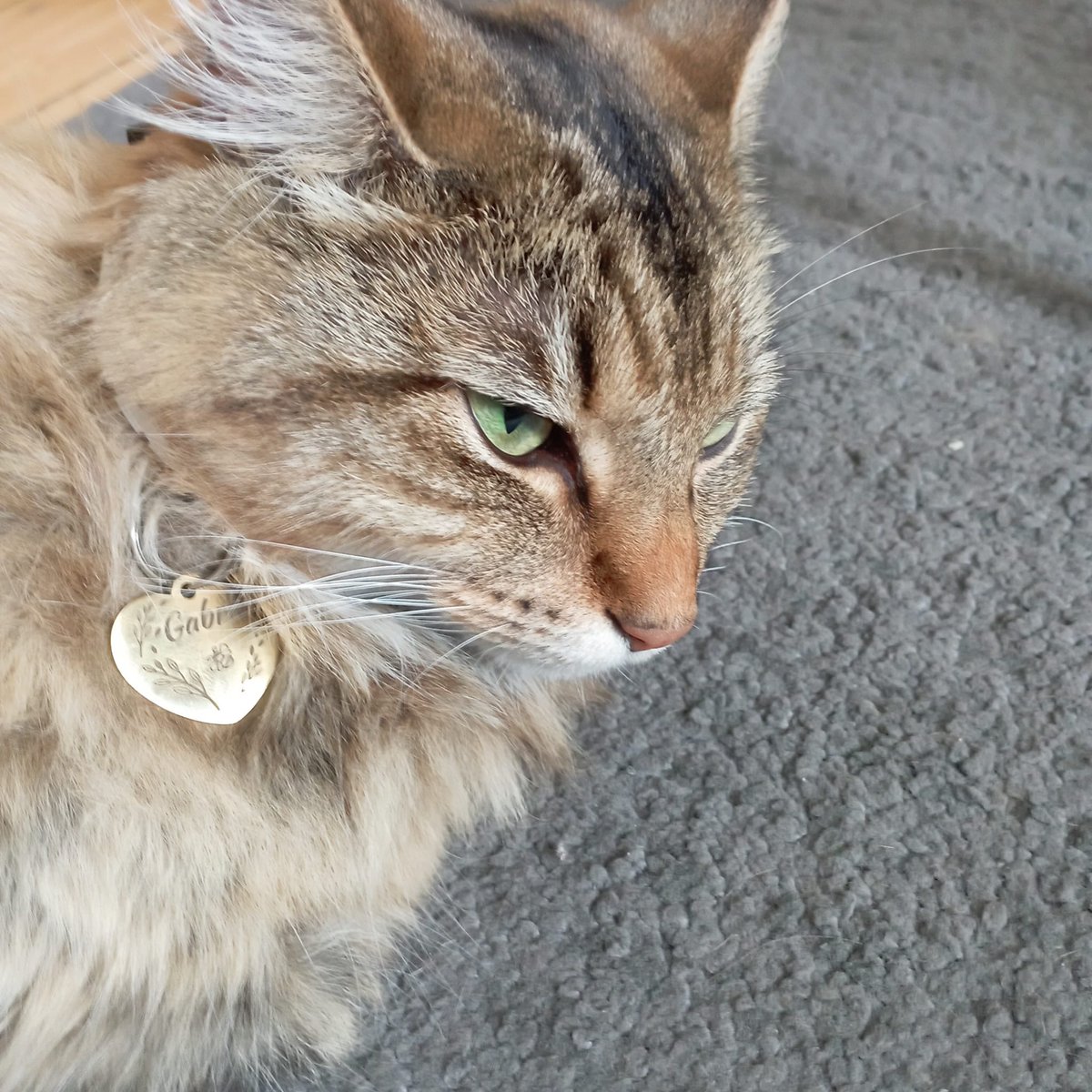 __mirza_99's tweet photo. she doesn’t like this weather https://t.co/Mc2TmpvErh