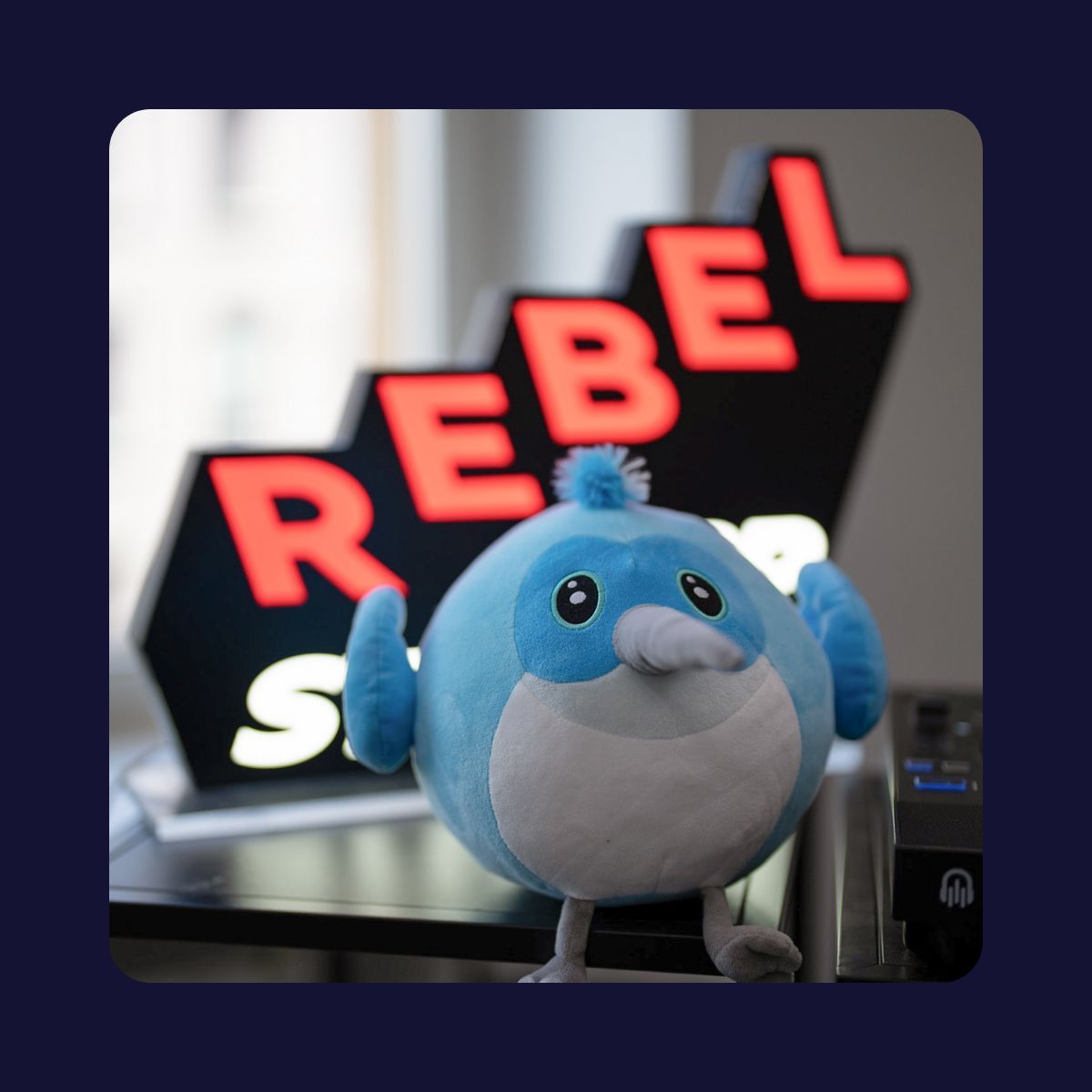 Rebel App Studio tweet media