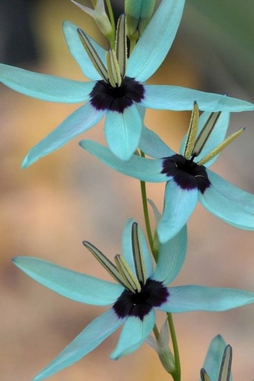 ありがとうを伝えよう ✨皆さま、水曜日、お勤め、ご活動、お疲れ様で