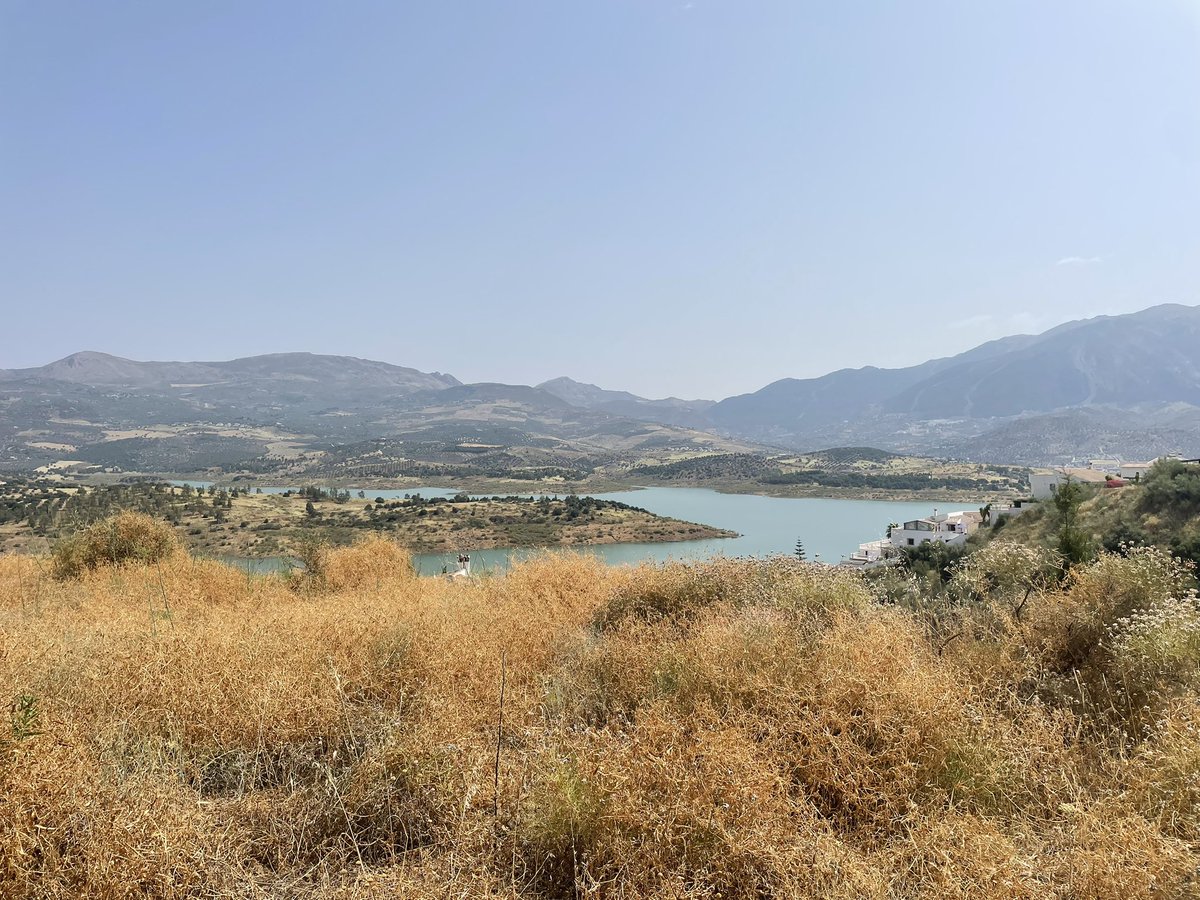 voidnick1's tweet image. 2025 was an incredible year for travelling:

📍Blue Mountains, Australia 🇦🇺 
📍Chiang Mai, Thailand 🇹🇭 
📍Malaga, Spain 🇪🇸 
📍Tbilisi, Georgia 🇬🇪