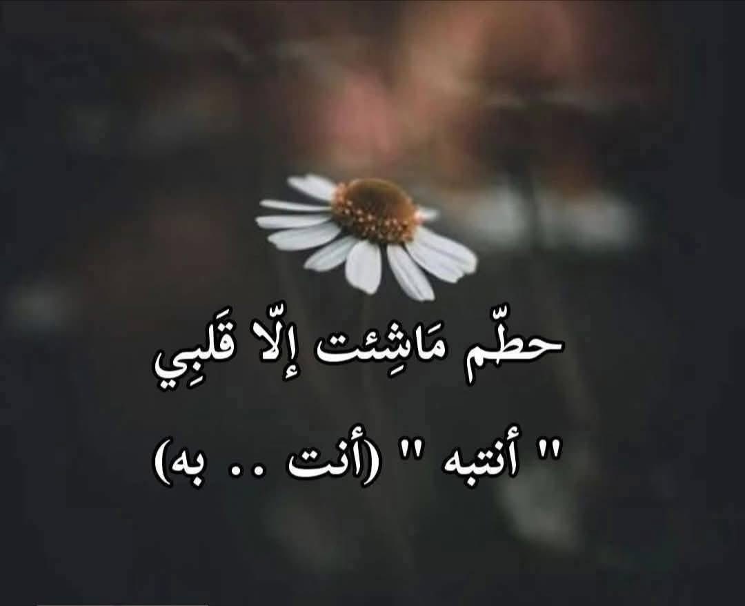 محمد العميري (@alalwnt) on Twitter photo 