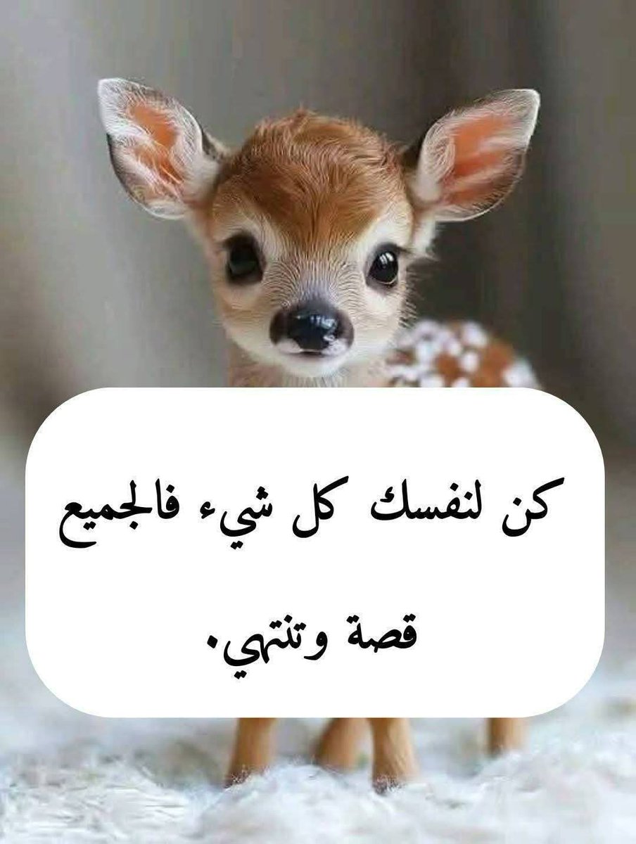 البدرى tweet media