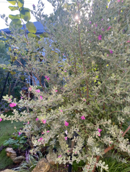 228_feb tweet picture