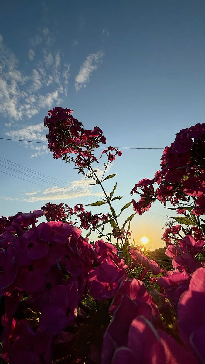 Vanessa Natali (@_natalifranco_) on Twitter photo 